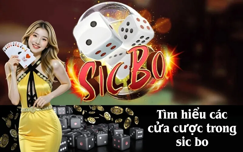 Tìm hiểu các cửa cược trong sic bo